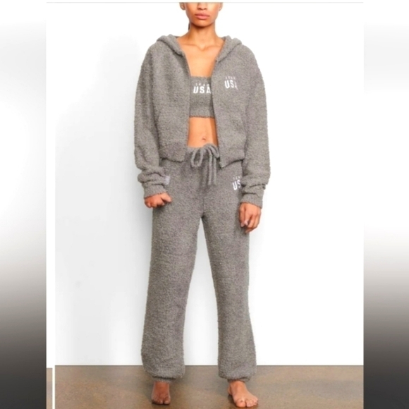 Skims limited edition team usa Olympic lounge pant grey 2X/3X NWT - Picture 1 of 7